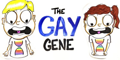 Does Everybody Have A Gay Gene?