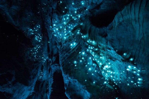 Long-Exposure Photography Of New Zealand Caves Illuminated By Glow Worms (10)